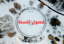 فصول السنة