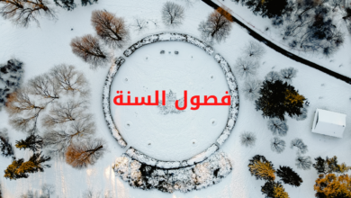 فصول السنة