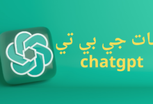 شات جي بي تي chatgpt