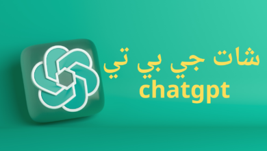 شات جي بي تي chatgpt